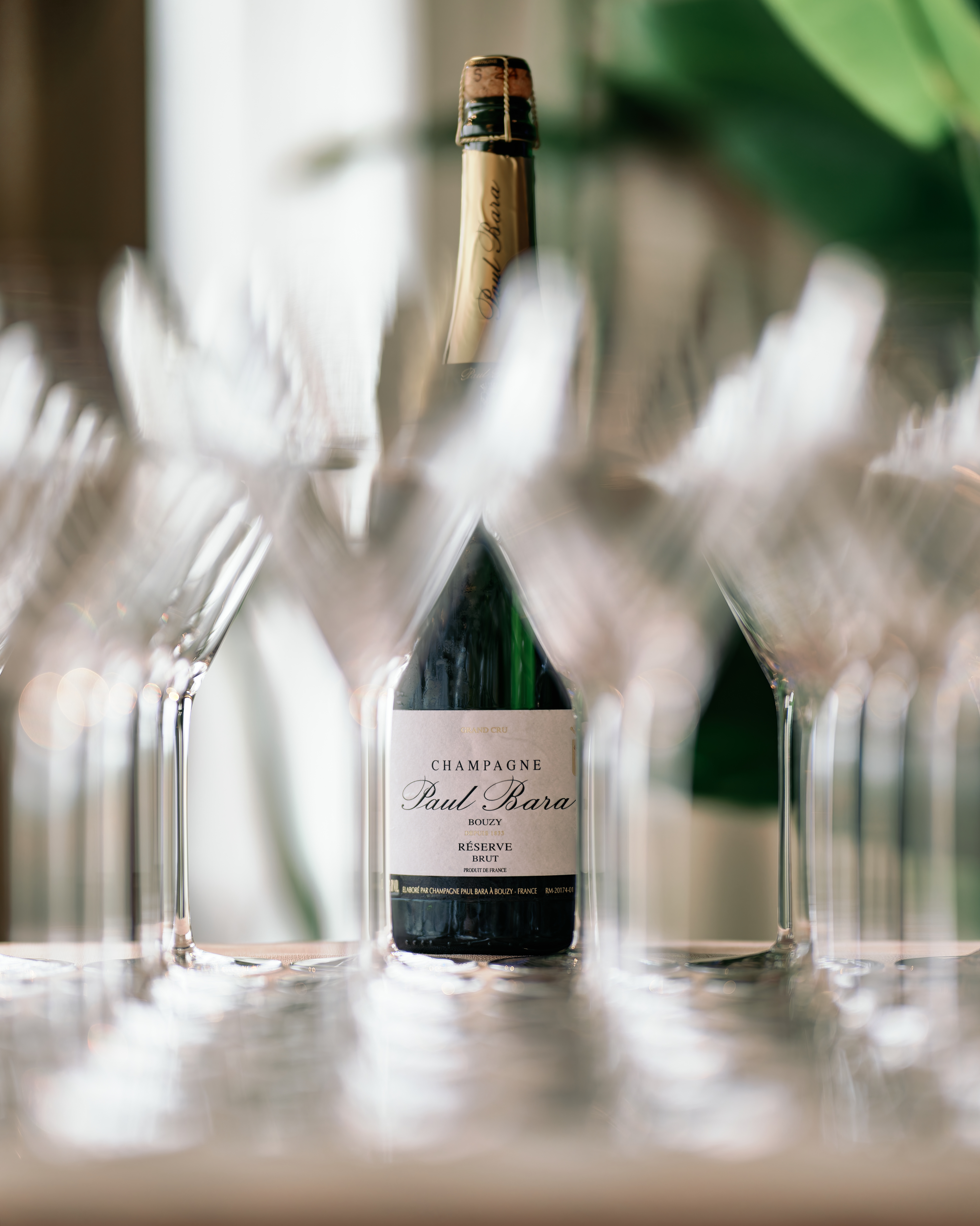 Champagne en glaswerk